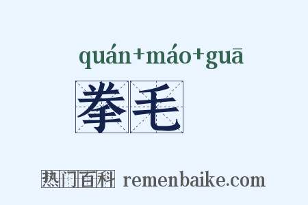 拳毛騧是什么意思的图片